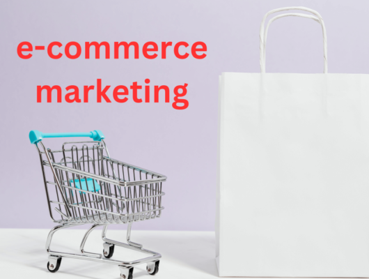 E-commerce Advertising for Market Domination